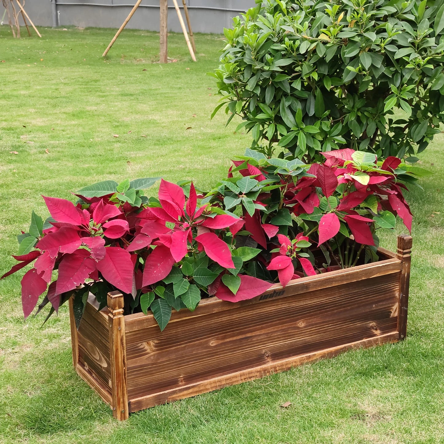 Raised Garden Flower Box