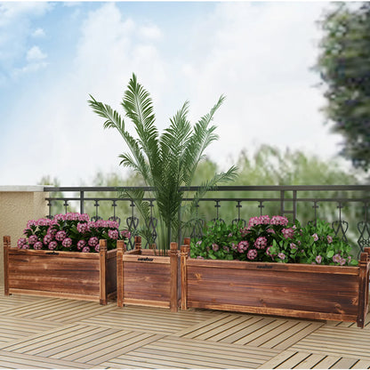 Raised Garden Flower Box