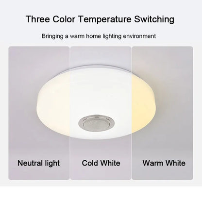 Smart Ceiling Lamp Bluetooth Music Light With Remote Control