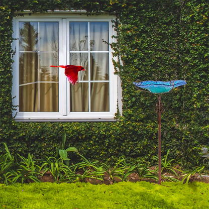 Flower Glass Bird Bath, Feeding Station, Height 63 cm