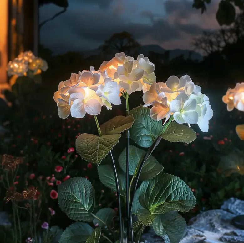 Solar Hydrangea Garden Lights  | Outdoor LED Fairy Flower Lights
