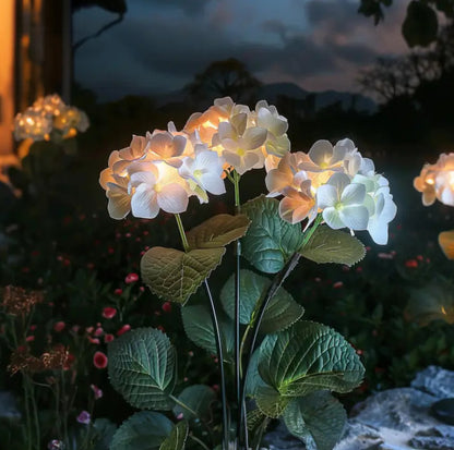Solar Hydrangea Garden Lights  | Outdoor LED Fairy Flower Lights